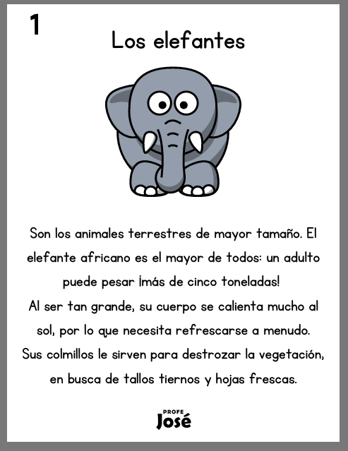 Lecturas de comprensión-Profe José